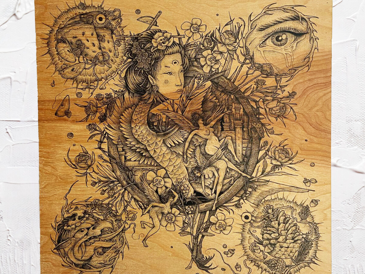 Last Night I Had a Dream I Could Fly